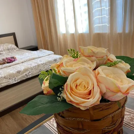 Guest house Vila Ebru Eforie Nord
