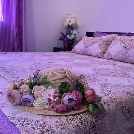 Guest house Vila Ebru Eforie Nord